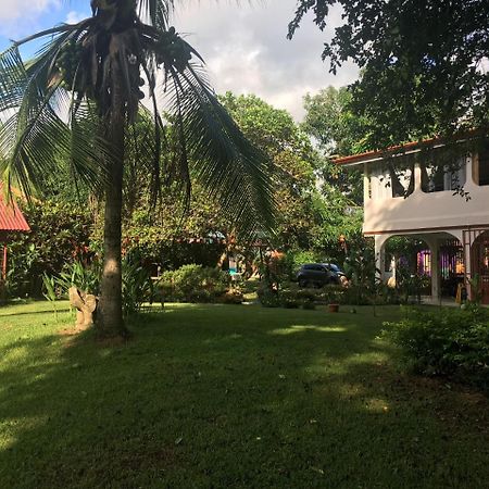 Casa Ballena Eco Hostel Uvita Extérieur photo