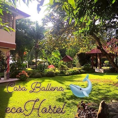 Casa Ballena Eco Hostel Uvita Extérieur photo