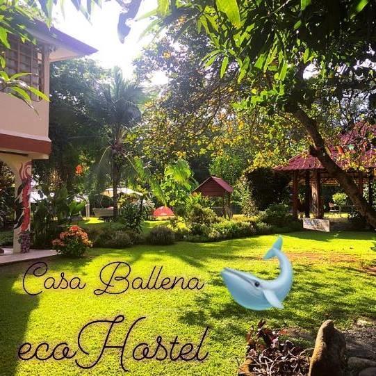 Casa Ballena Eco Hostel Uvita Extérieur photo