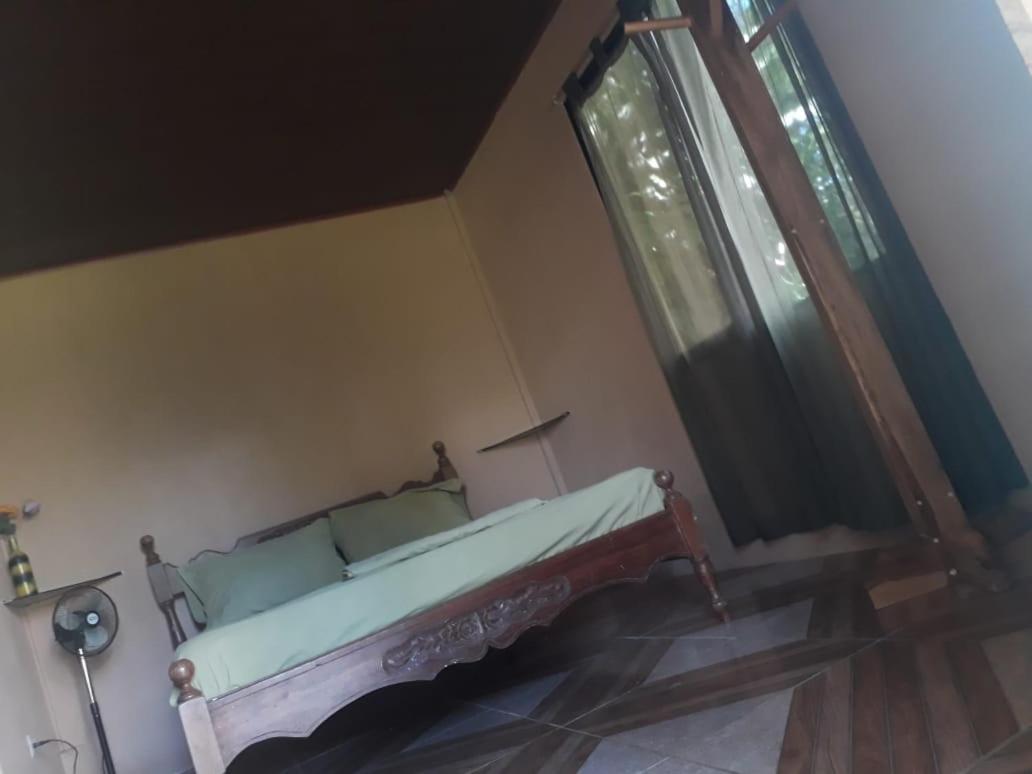 Casa Ballena Eco Hostel Uvita Extérieur photo